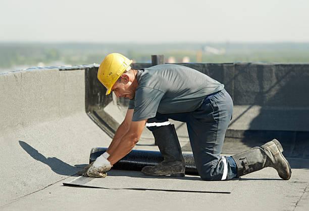 Best Local Insulation Services  in Port Washington, WI