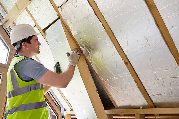 Best Fiberglass Insulation  in Port Washington, WI